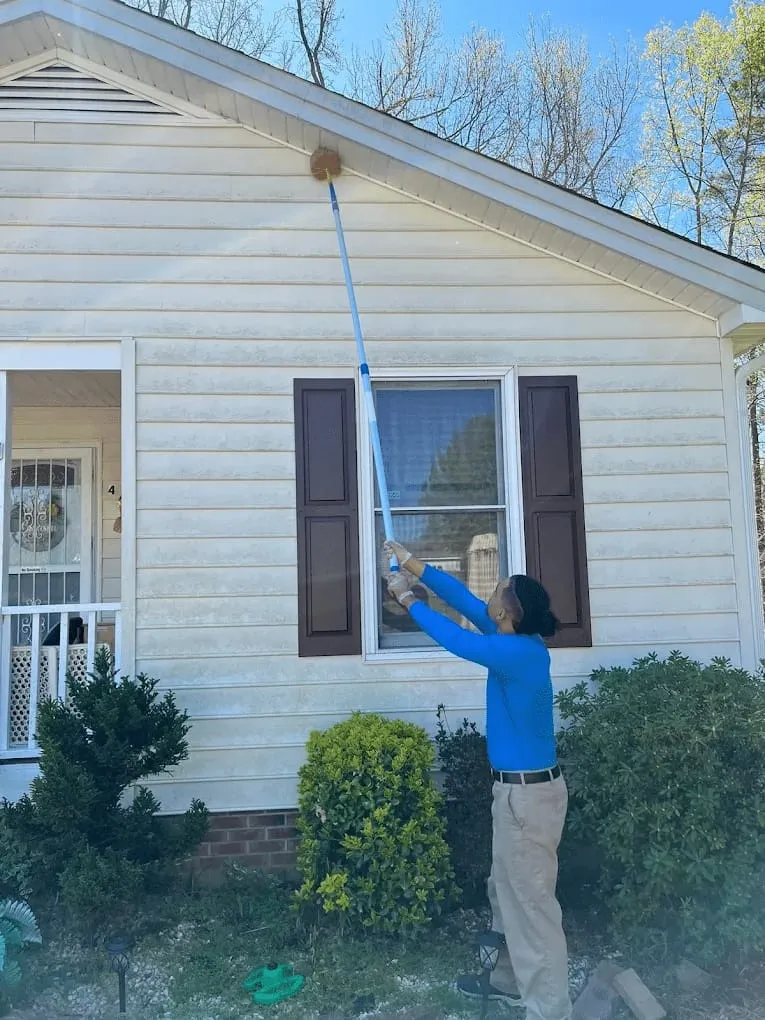 Bugs Be Gone, photo 3 of 9