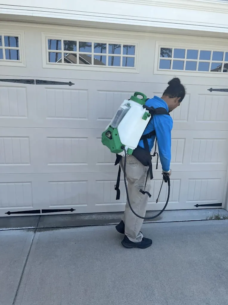 Bugs Be Gone, photo 5 of 9