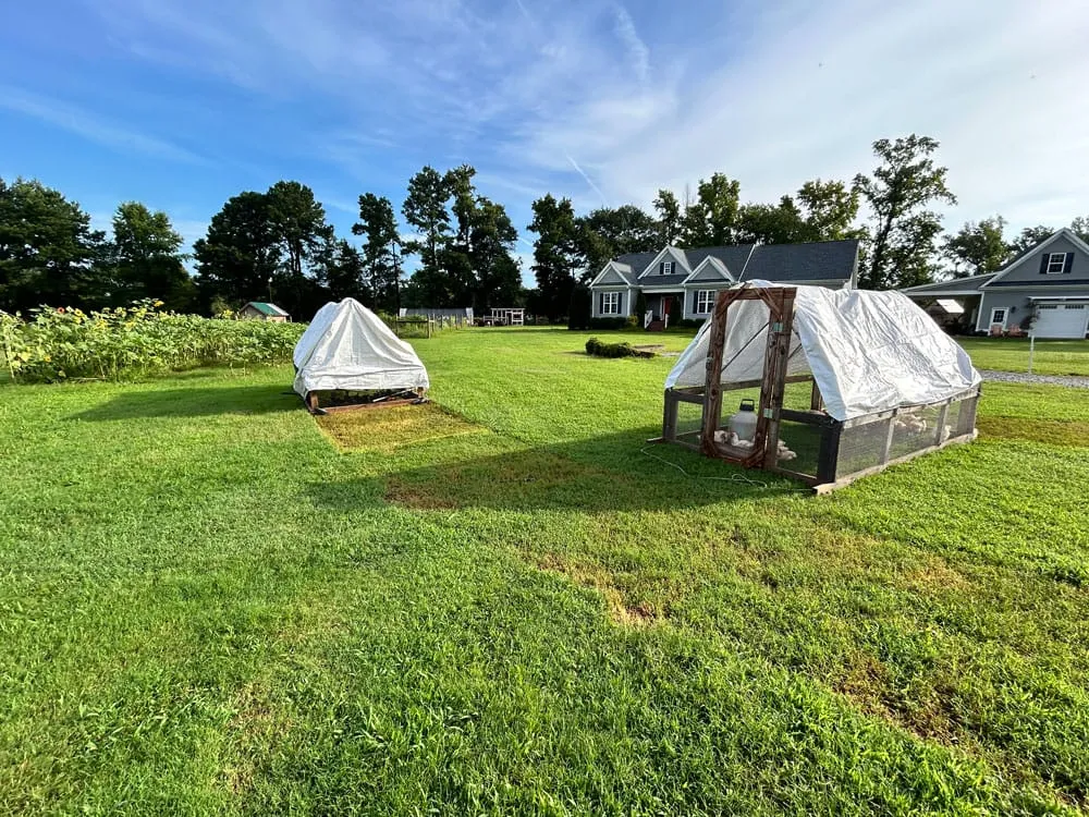 R&B Rhyne Farms, photo 5 of 5