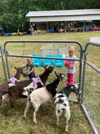 Party Animals, photo 7 of 8