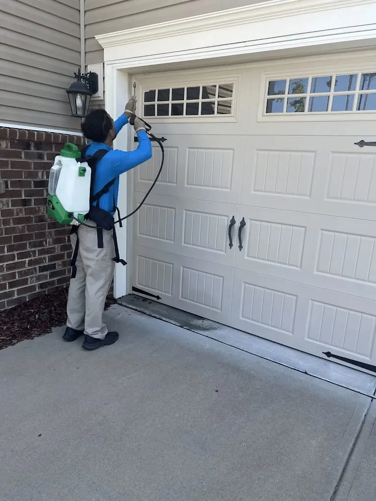 Bugs Be Gone, photo 8 of 9