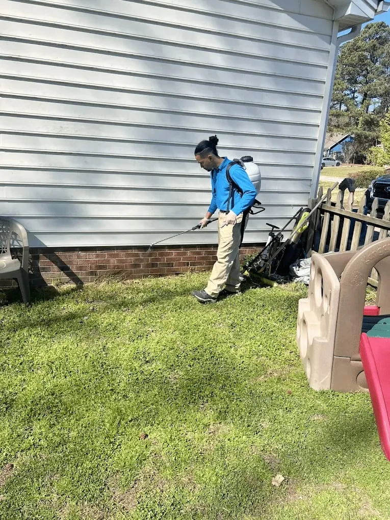 Bugs Be Gone, photo 9 of 9
